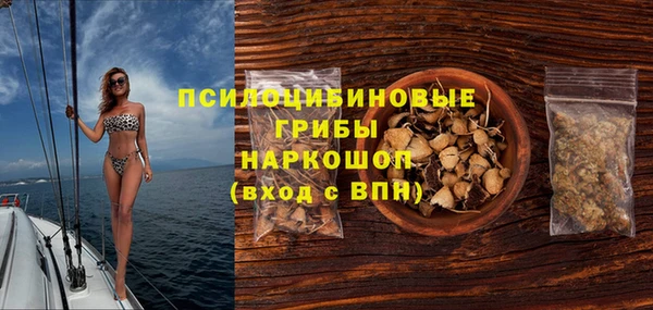apvp Аркадак