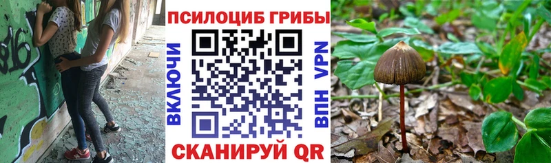 Галлюциногенные грибы Magic Shrooms даркнет сайт Аркадак